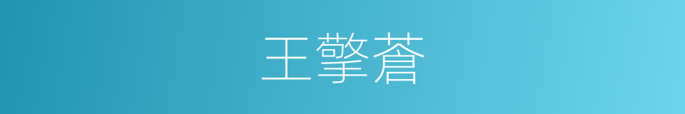王擎蒼的同義詞
