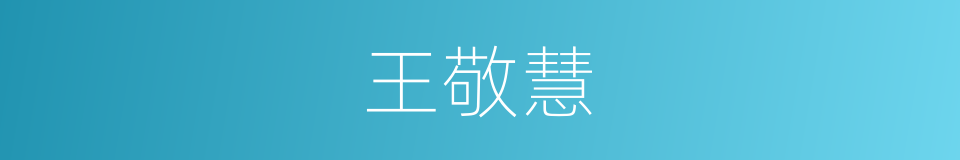 王敬慧的同义词