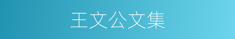 王文公文集的同义词