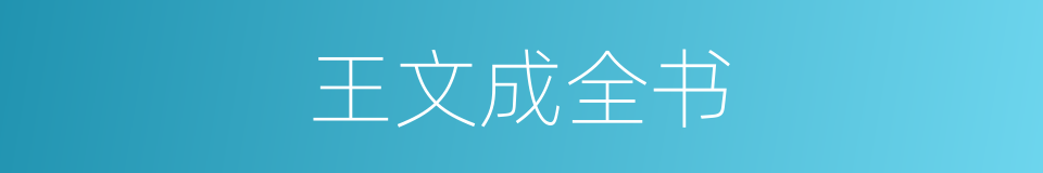 王文成全书的同义词