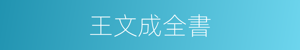 王文成全書的同義詞