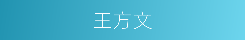 王方文的同义词