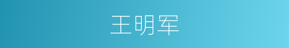 王明军的同义词