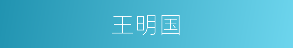 王明国的同义词