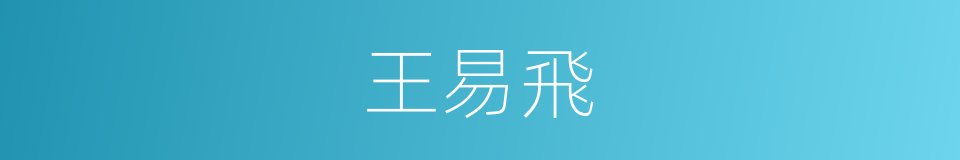 王易飛的同義詞