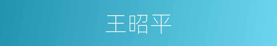 王昭平的同义词