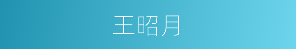 王昭月的同义词
