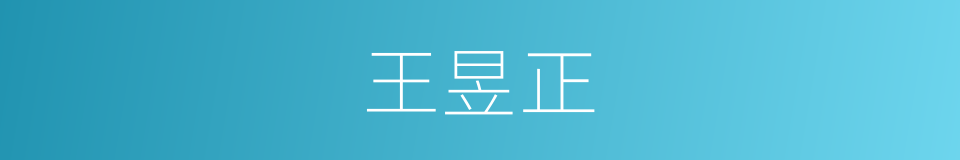 王昱正的同义词