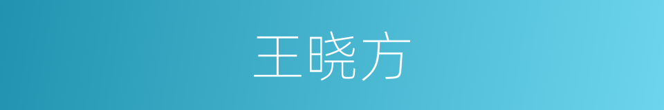 王晓方的同义词