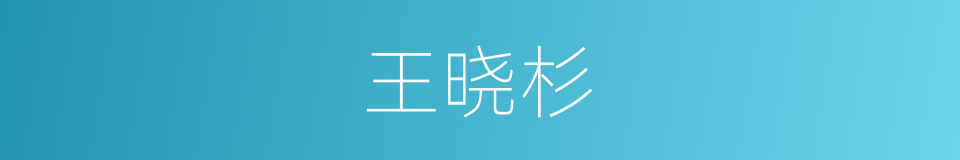 王晓杉的同义词