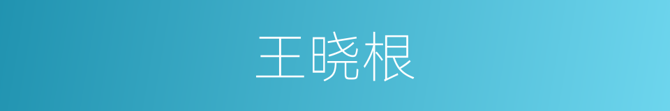王晓根的同义词