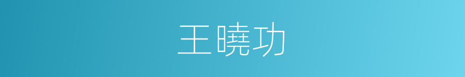 王曉功的同義詞