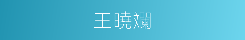 王曉斕的同義詞