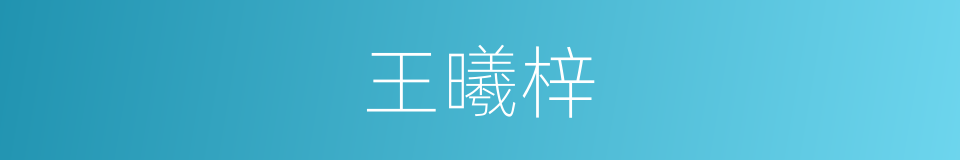 王曦梓的同义词
