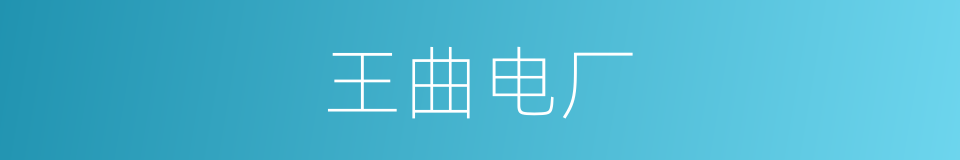 王曲电厂的同义词