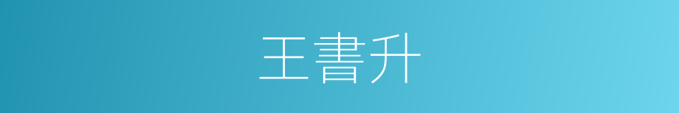 王書升的同義詞