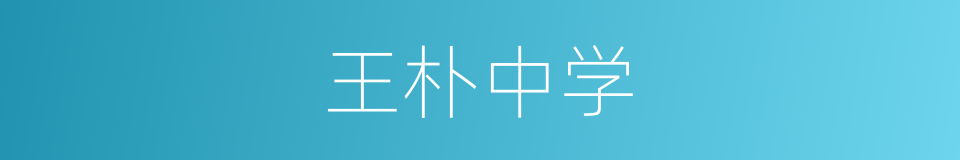 王朴中学的同义词