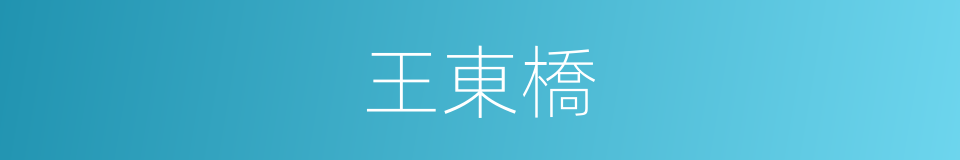 王東橋的同義詞
