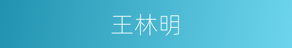 王林明的同义词