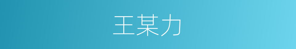 王某力的同义词