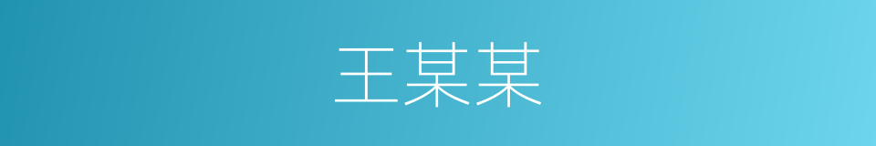 王某某的同义词