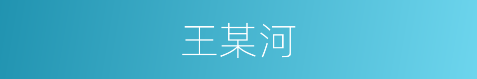 王某河的同义词