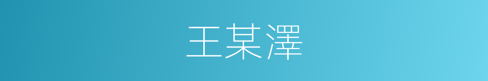 王某澤的同義詞