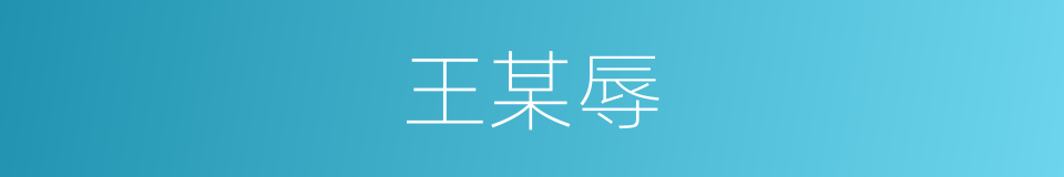 王某辱的同义词