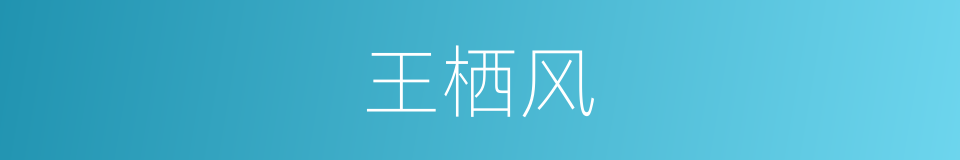 王栖风的同义词