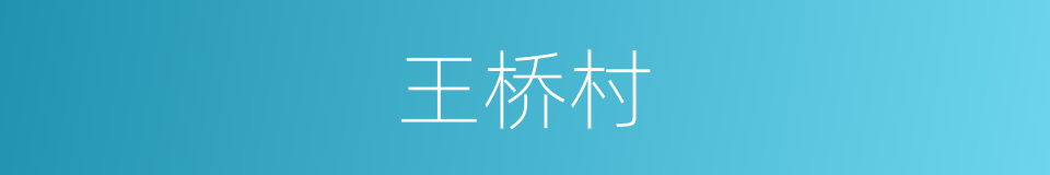 王桥村的同义词