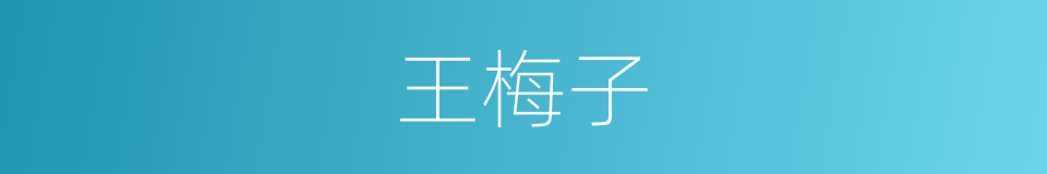 王梅子的同义词