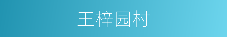 王梓园村的同义词