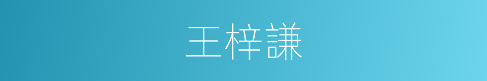 王梓謙的同義詞