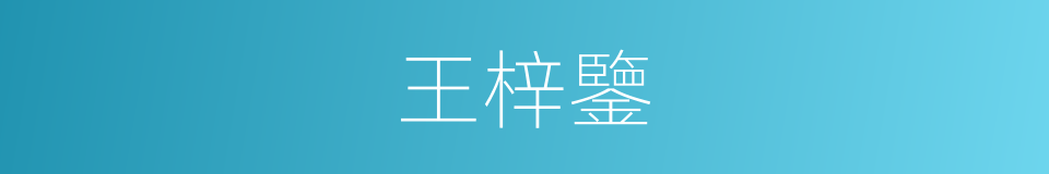 王梓鑒的同義詞