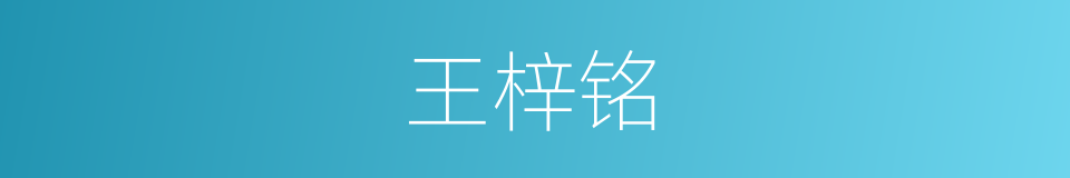 王梓铭的同义词