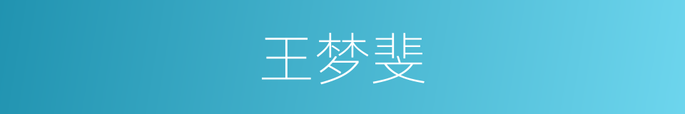 王梦斐的同义词