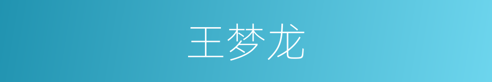 王梦龙的同义词