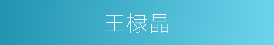王棣晶的同义词