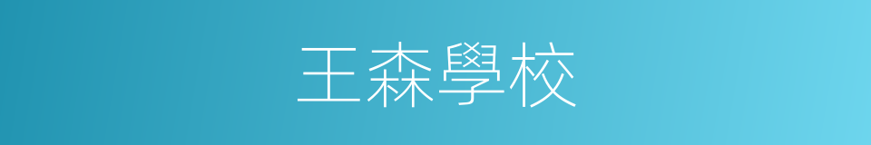 王森學校的同義詞