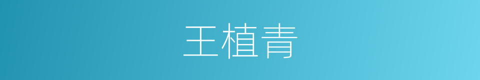 王植青的同义词