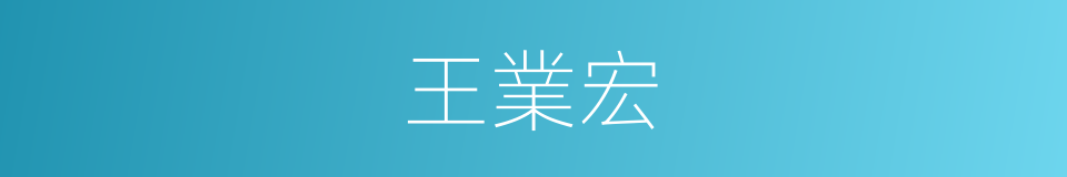 王業宏的同義詞