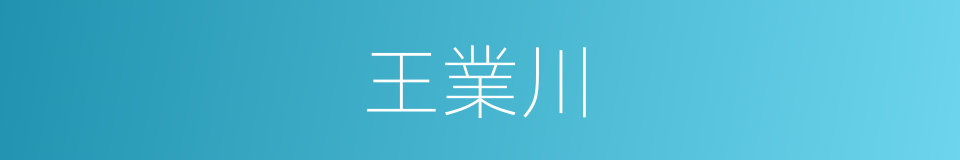 王業川的同義詞