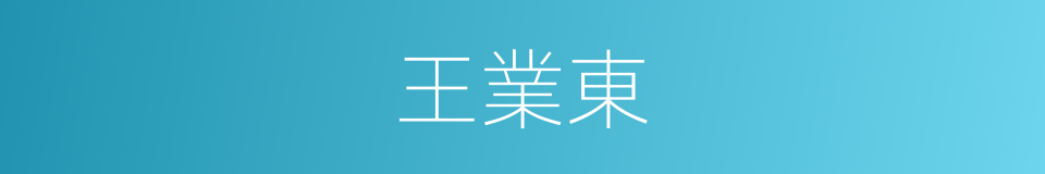 王業東的同義詞