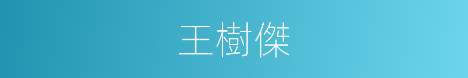王樹傑的同義詞