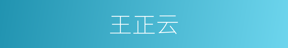 王正云的同义词