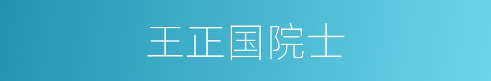 王正国院士的同义词