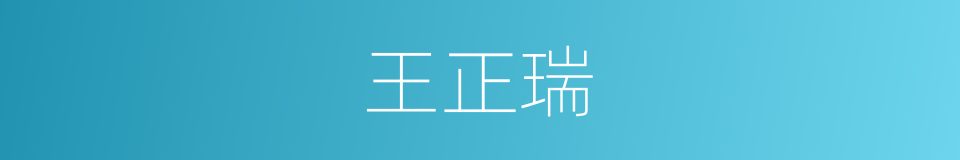 王正瑞的同义词