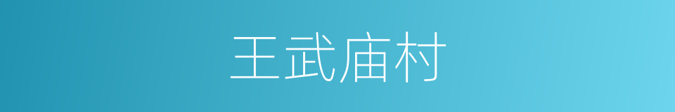 王武庙村的同义词