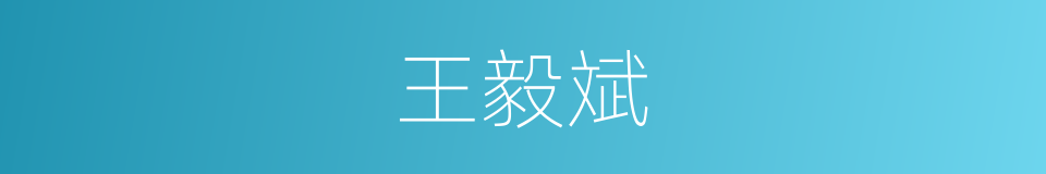 王毅斌的同义词