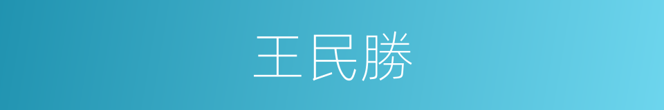 王民勝的同義詞